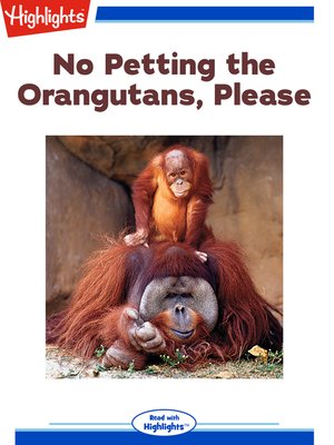 cover image of No Petting the Orangutans Please